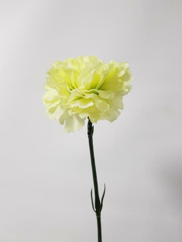 Artificial Carnations |  Artificial Carnation Green 61Cm Artificial Carnations Artificial Carnations