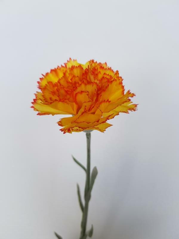 Artificial Carnations |  Artificial Carnation Yellow Orange 61Cm Artificial Carnations Artificial Carnations