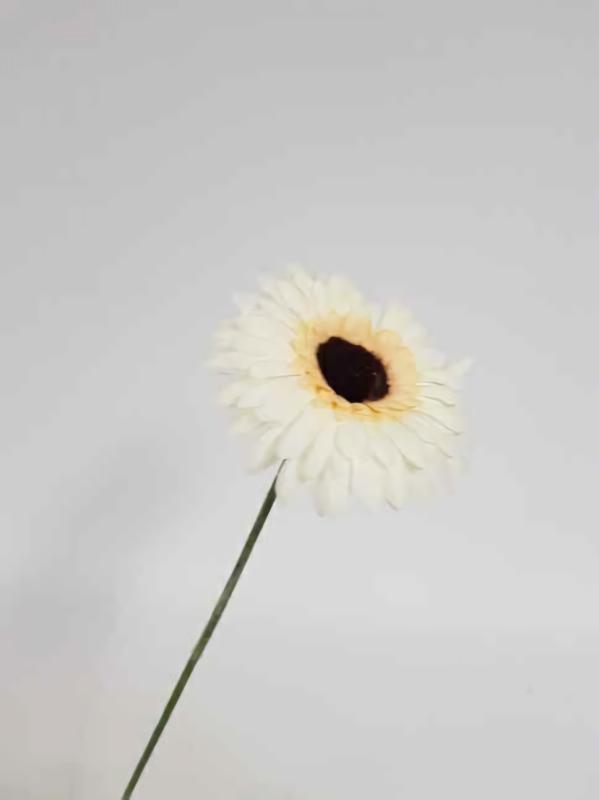 Artificial Daisy & Cosmos |  Artificial Gerbera Cream 52Cm Artificial Daisy & Cosmos Artificial Daisy & Cosmos