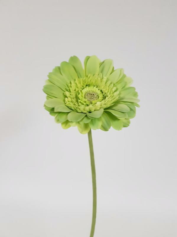 Artificial Daisy & Cosmos |  Artificial Gerbera Garvinea Green 56Cm Artificial Daisy & Cosmos Artificial Daisy & Cosmos