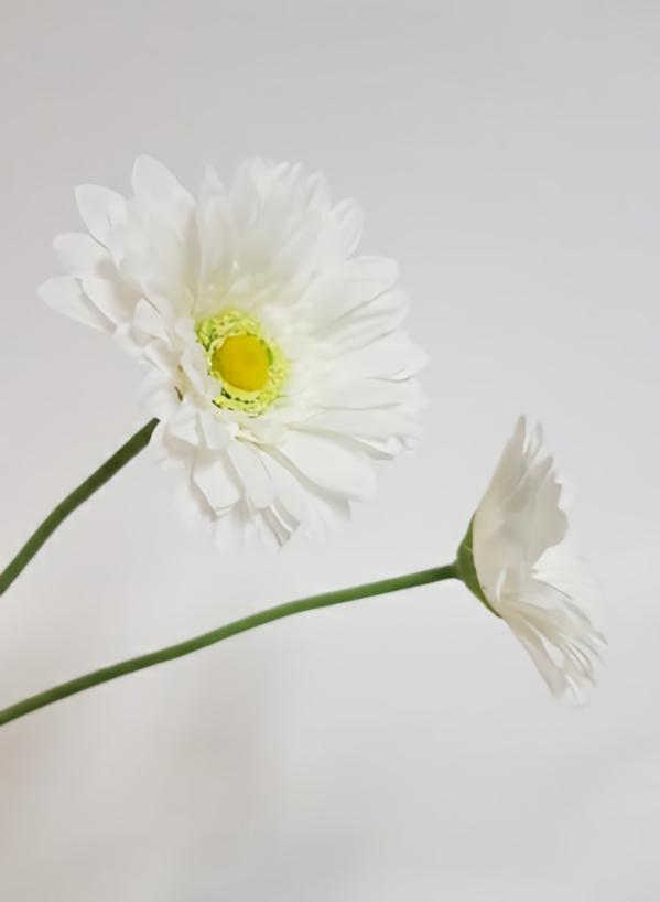 Artificial Daisy & Cosmos |  Artificial Gerbera White Artificial Daisy & Cosmos Artificial Daisy & Cosmos