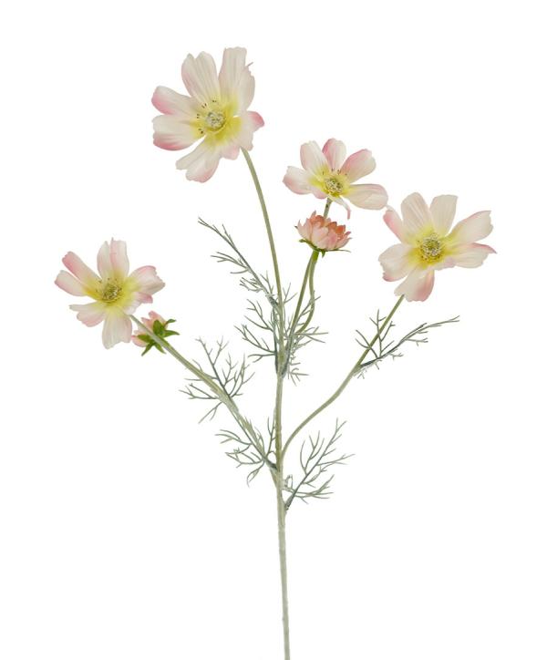 Artificial Daisy & Cosmos |  Cosmos Wild Flower Peach 60Cm Artificial Daisy & Cosmos Artificial Daisy & Cosmos