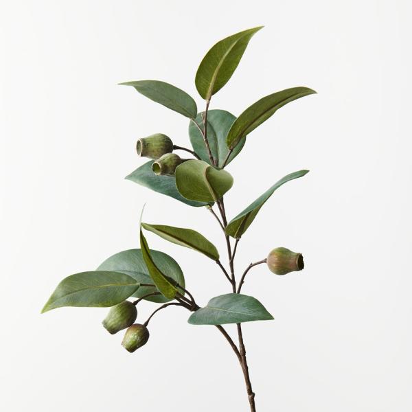 Artificial Eucalyptus |  Eucalyptus Gumnut Spray Green 60Cm Artificial Eucalyptus Artificial Eucalyptus