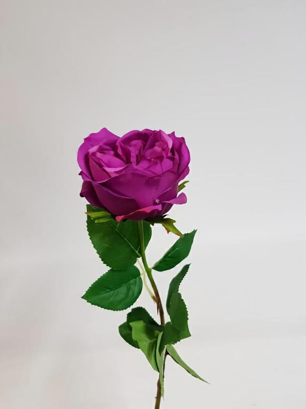 Artificial Roses |  Artificial David Austin Rose Magenta 72Cm Artificial Flowers Artificial Roses