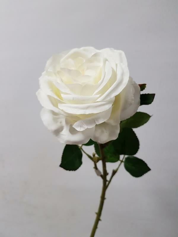 Artificial Roses |  Artificial David Austin Rose White 49Cm Artificial Flowers Artificial Roses