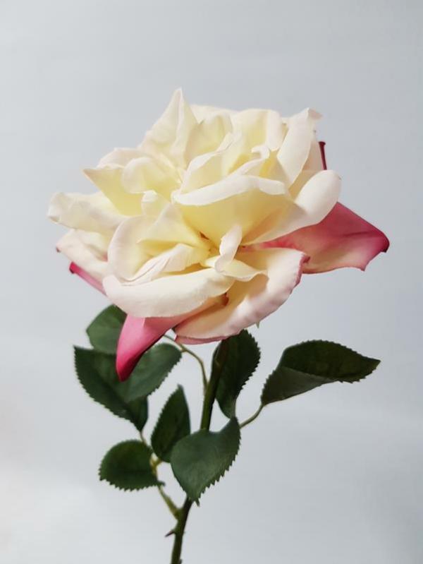 Artificial Roses |  Artificial Garden Rose Cream Pink 36Cm Artificial Flowers Artificial Roses