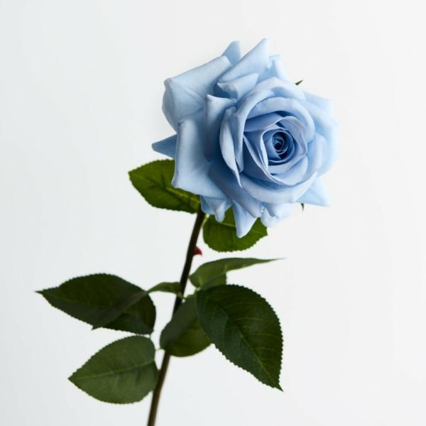 Artificial Roses |  Artificial Rose Anna Ice Blue 75Cm Artificial Flowers Artificial Roses