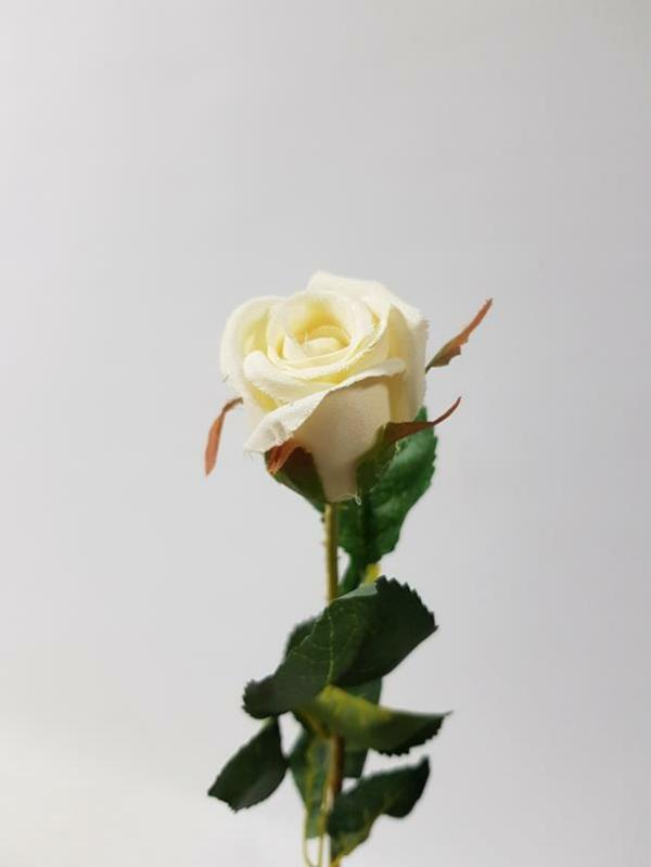 Artificial Roses |  Artificial Rose Bud Lulu Cream 59Cm Artificial Flowers Artificial Roses