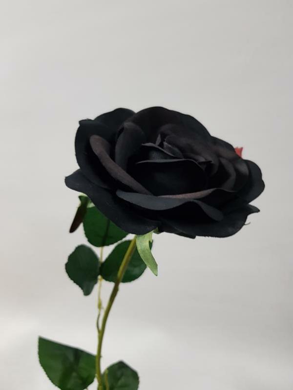 Artificial Roses |  Artificial Rose Emily Black 70Cm Artificial Flowers Artificial Roses