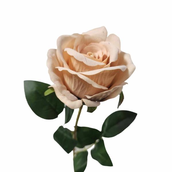 Artificial Roses |  Artificial Rose Vera Latte 60Cm Artificial Flowers Artificial Roses