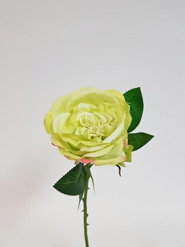 Artificial Roses |  David Austin Rose Budget Bloom Green Artificial Flowers Artificial Roses