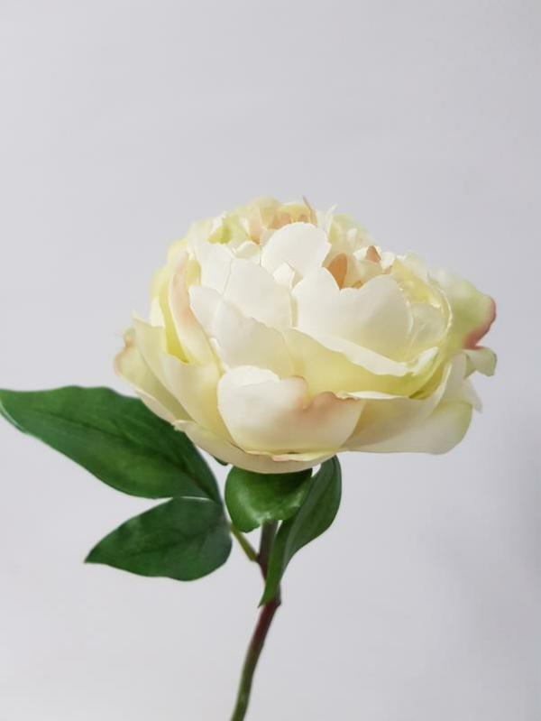 Artificial Roses |  Peony Water Stem Cream Pink 33Cm Artificial Flowers Artificial Roses