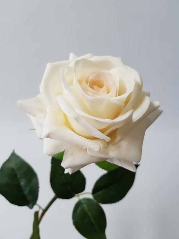 Artificial Roses |  Rose Anna Ivory 75Cm Artificial Flowers Artificial Roses