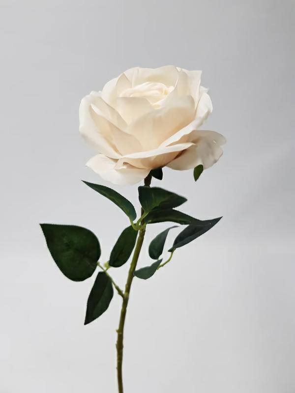 Artificial Roses |  Rose Stem Audrey Cream 75Cm Artificial Flowers Artificial Roses