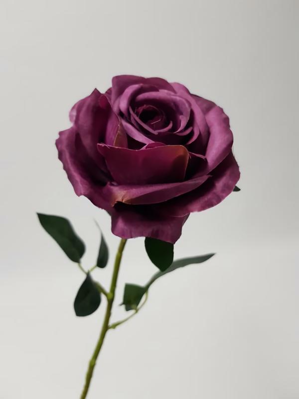 Artificial Roses |  Rose Stem Audrey Dark Purple 75Cm Artificial Flowers Artificial Roses