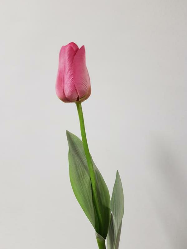 Artificial Tulips |  Artificial Tulip Pink 66Cm Artificial Flowers Artificial Tulips