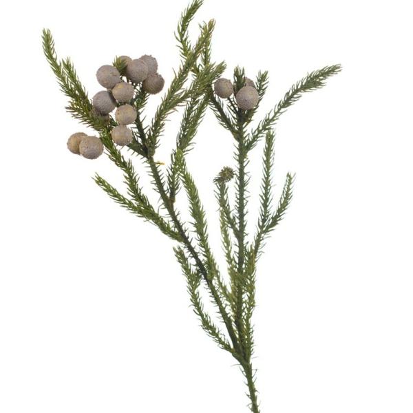 Berries |  Artificial Berzelia 63Cm Artificial Flowers Berries