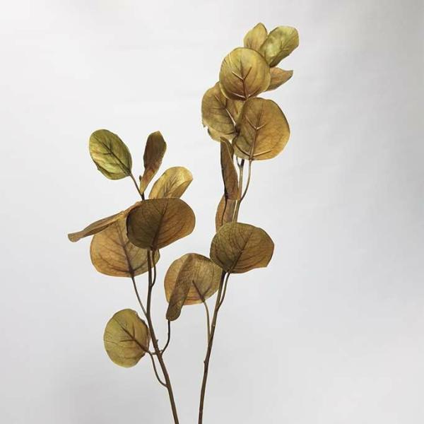 Coloured Foliage |  Eucalyptus Silver Dollar Leaves Olive 75Cm Artificial Eucalyptus Artificial Eucalyptus