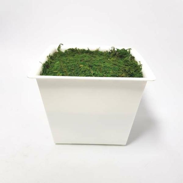 Diy Making |  Diy Ready Made Flower Pot With Moss (White) Diy Making Diy Making