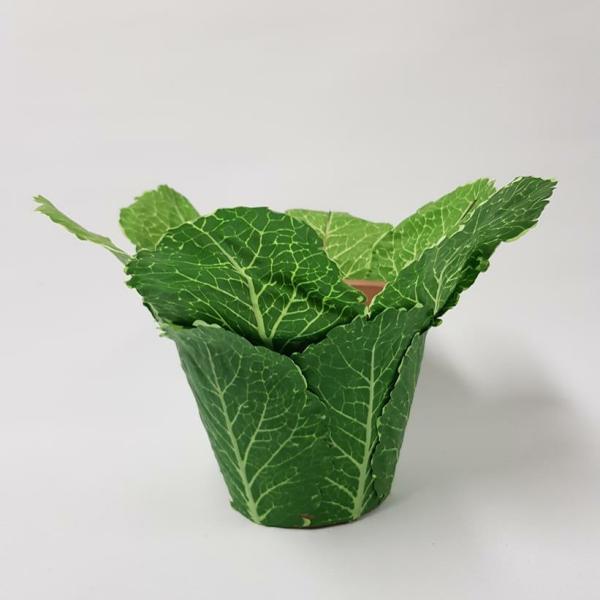 Diy Making |  Enchanted Cabbage Leaf Pot Diy Making Diy Making