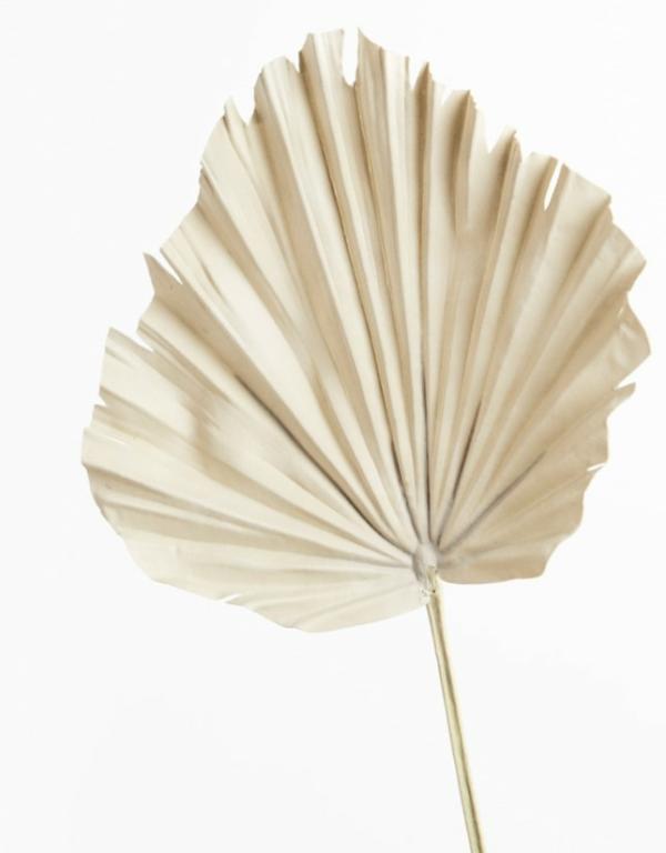 Dried Flowers |  Artificial Dry Look Fan Palm Natural 56Cm Artificial Flowers Dried Flowers