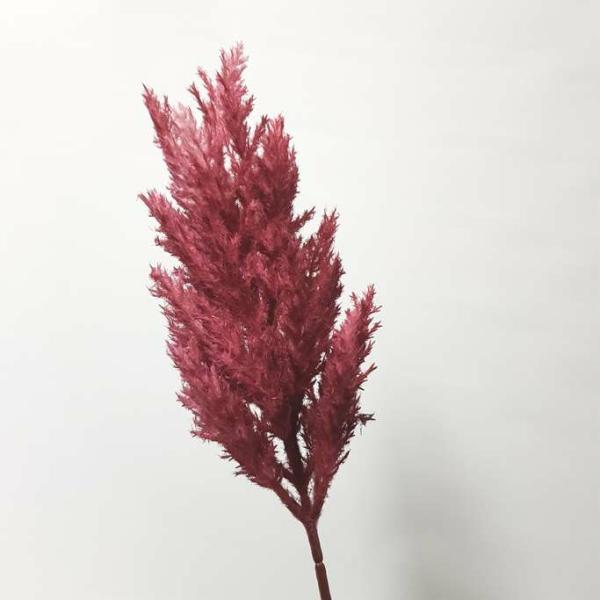 Dried Flowers |  Artificial Pampas Stem Plum 70Cm Artificial Flowers Dried Flowers