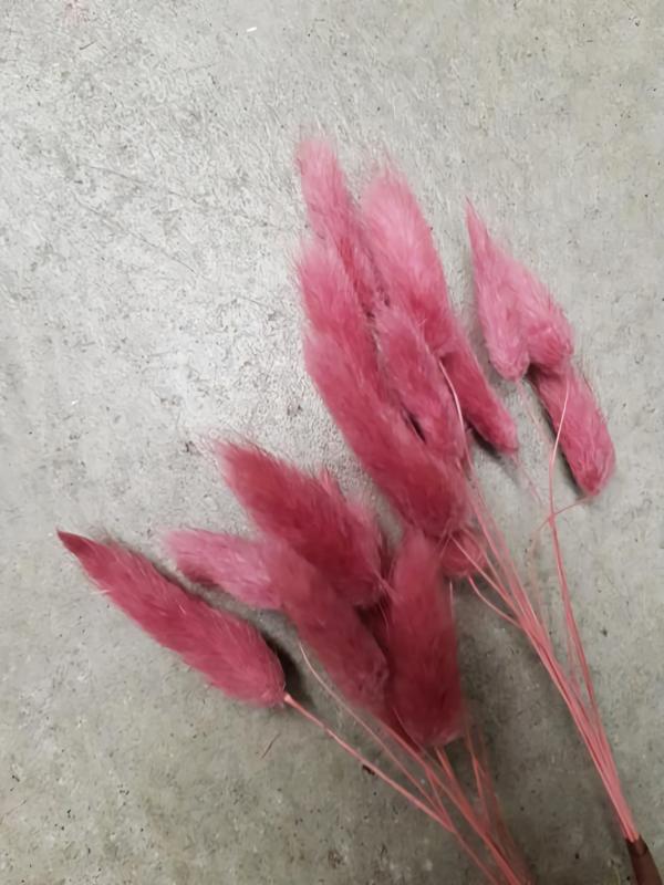 Dried Flowers |  Bunny Tails Dried Dark Pink Artificial Flowers Dried Flowers