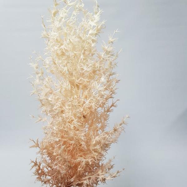 Dried Flowers |  Fluffy Ming Plume Cream Pink 98Cm Artificial Flowers Dried Flowers