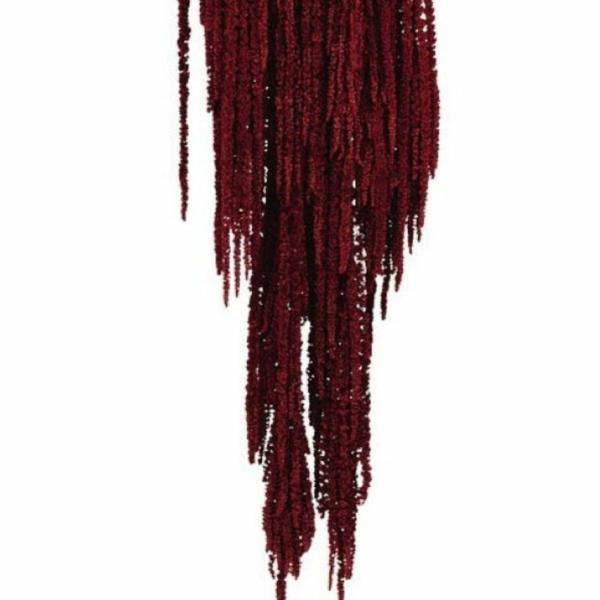 Dried Flowers |  Preserved Amaranthus Dark Red Artificial Flowers Dried Flowers