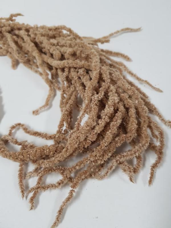 Dried Flowers |  Preserved Amaranthus Latte Artificial Flowers Dried Flowers