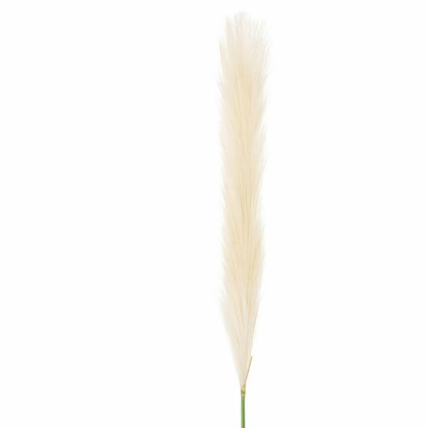 Dried Flowers |  Silky Pampas Stem Cream 70Cm Artificial Flowers Dried Flowers