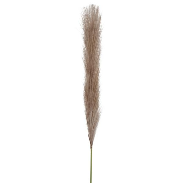 Dried Flowers |  Silky Pampas Stem Dusty Mocha 70Cm Artificial Flowers Dried Flowers