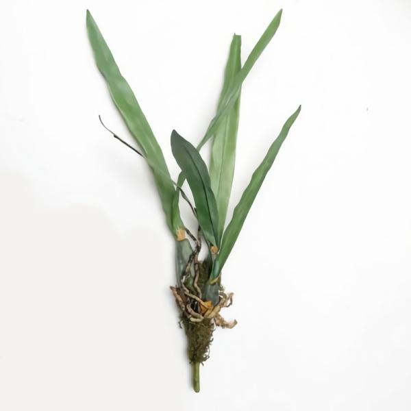 Grass And Reeds |  Artificial Dancing Orchid Leaf 44Cm Artificial Greenery Grass And Reeds