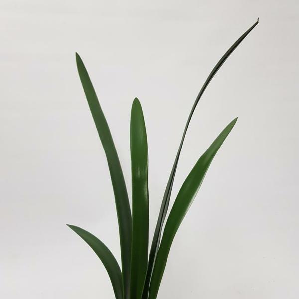 Grass And Reeds |  Artificial Orchid Leaf 72Cm Artificial Greenery Grass And Reeds