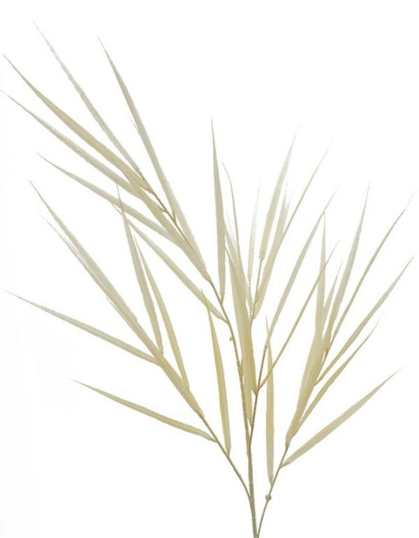 Grass And Reeds |  Artificial Reed Spray Cream 114Cm Artificial Greenery Grass And Reeds