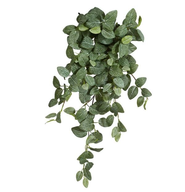 Hanging Greenery |  Artificial Fittonia Hanging Bush 89Cm Artificial Greenery Hanging Greenery