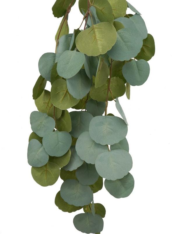 Hanging Greenery |  Eucalyptus Silver Dollar Hanging Bush Artificial Eucalyptus Artificial Eucalyptus