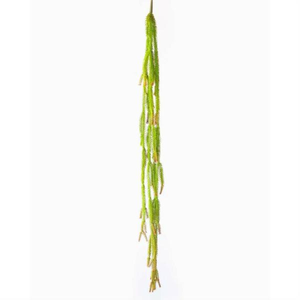 Hanging Greenery |  Hanging Succulent Clubmoss 110Cm Artificial Greenery Hanging Greenery