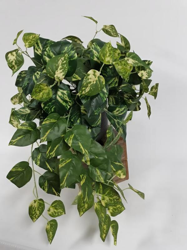 Hanging Greenery |  Pothos Hanging Bush 60Cm Artificial Greenery Hanging Greenery