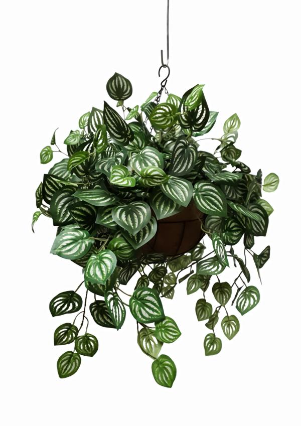 Hanging Plants And Baskets |  Artificial Green Peperomia In Rattan Hanging Basket Artificial Plants Hanging Plants And Baskets