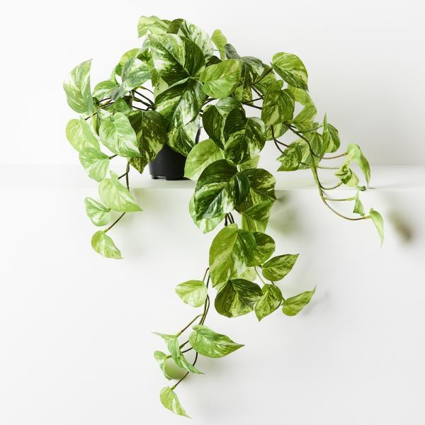 Hanging Plants And Baskets |  Artificial Pothos Hanging Plant 64Cm Artificial Plants Hanging Plants And Baskets