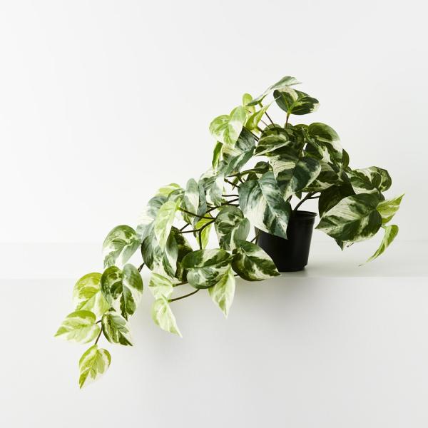 Hanging Plants And Baskets |  Artificial Pothos Hanging Plant In Pot 48Cm Hanging Plants And Baskets