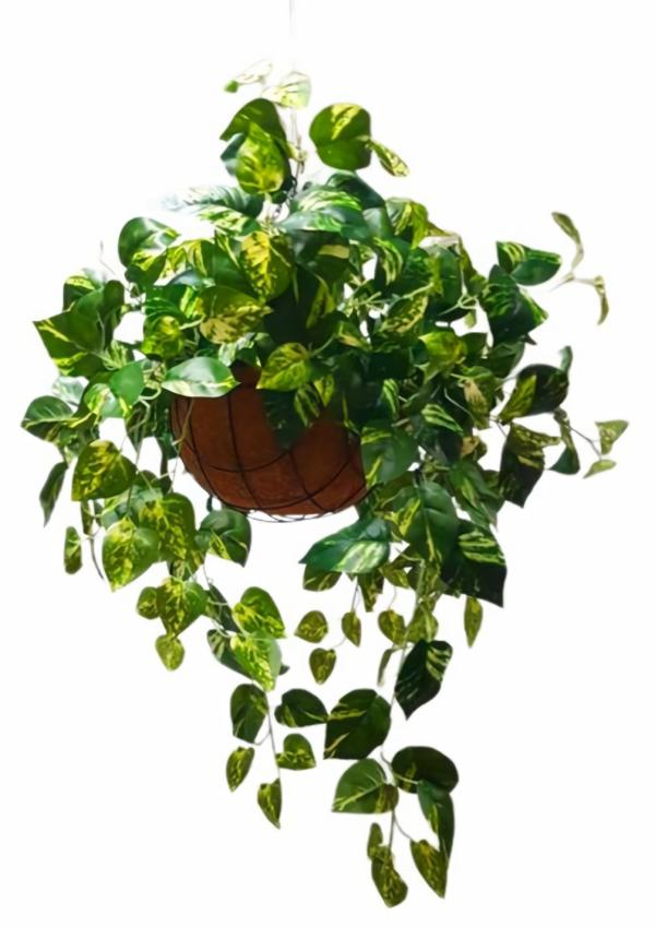 Hanging Plants And Baskets |  Artificial Pothos Plant In Rattan Hanging Basket Artificial Plants Hanging Plants And Baskets