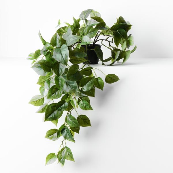 Hanging Plants And Baskets |  Philodendron Hanging Plant In Pot 70Cm Artificial Plants Hanging Plants And Baskets