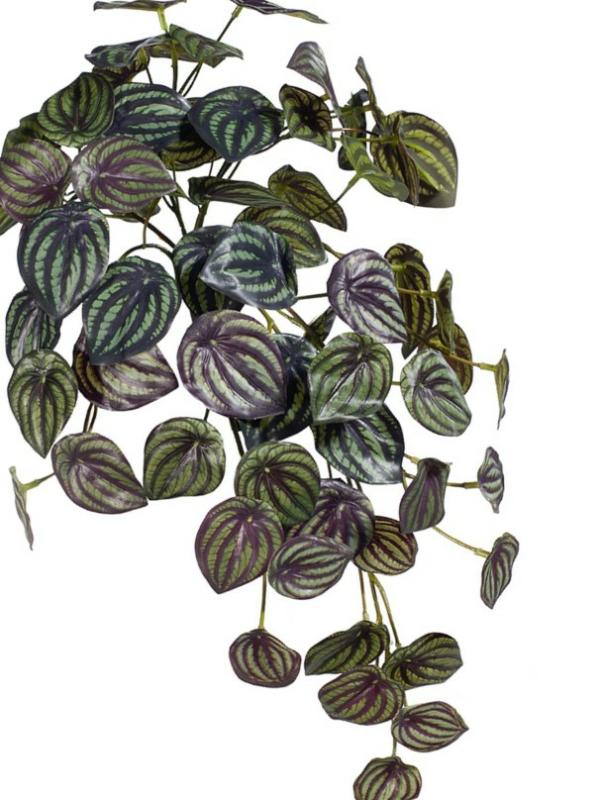 Leaf Spray |  Artificial Peperomia Plant Purple 48Cm Artificial Greenery Hanging Greenery