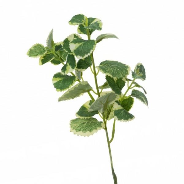 Leaf Spray |  Artificial Spurflower Leaf Spray 32Cm Artificial Greenery Leaf Spray