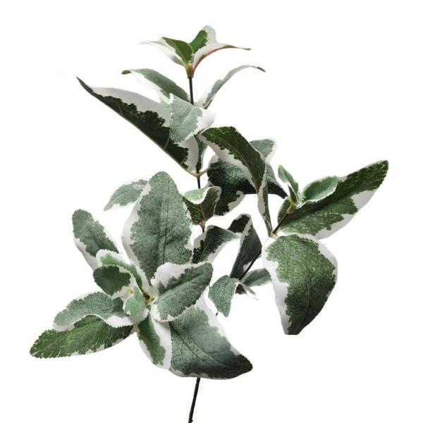 Leaf Spray |  Pittosporum Leaf Spray Variegated 55Cm Artificial Greenery Leaf Spray