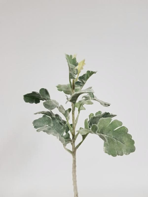 Leaves & Foliage |  Artificial Dusty Miller 32Cm Artificial Greenery Leaves & Foliage