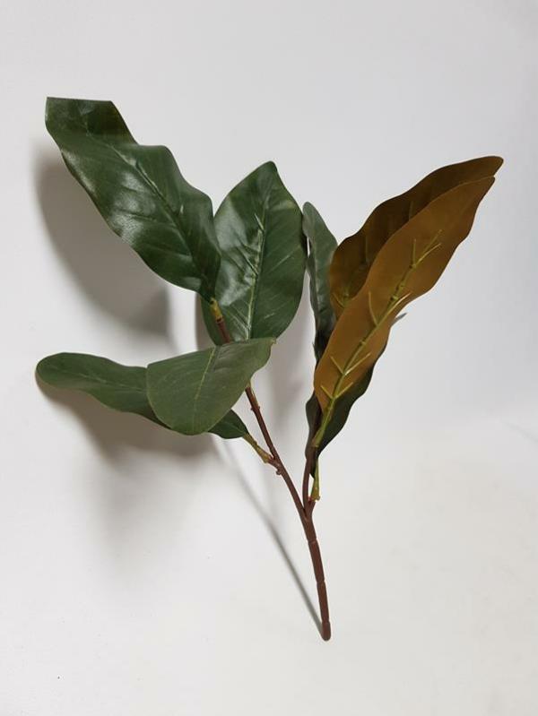 Leaves & Foliage |  Artificial Magnolia Leaf 35Cm Artificial Greenery Leaves & Foliage