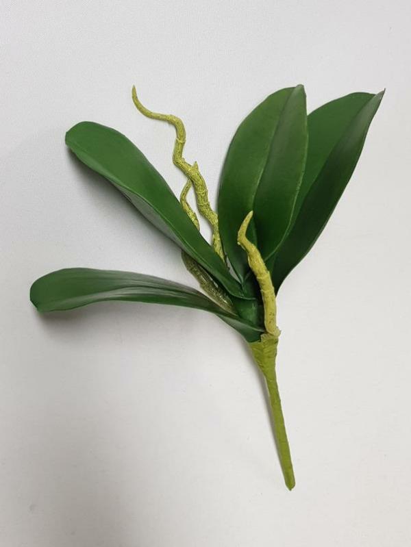 Leaves & Foliage |  Artificial Phalaenopsis Orchid Leaf 24Cm Artificial Greenery Leaves & Foliage